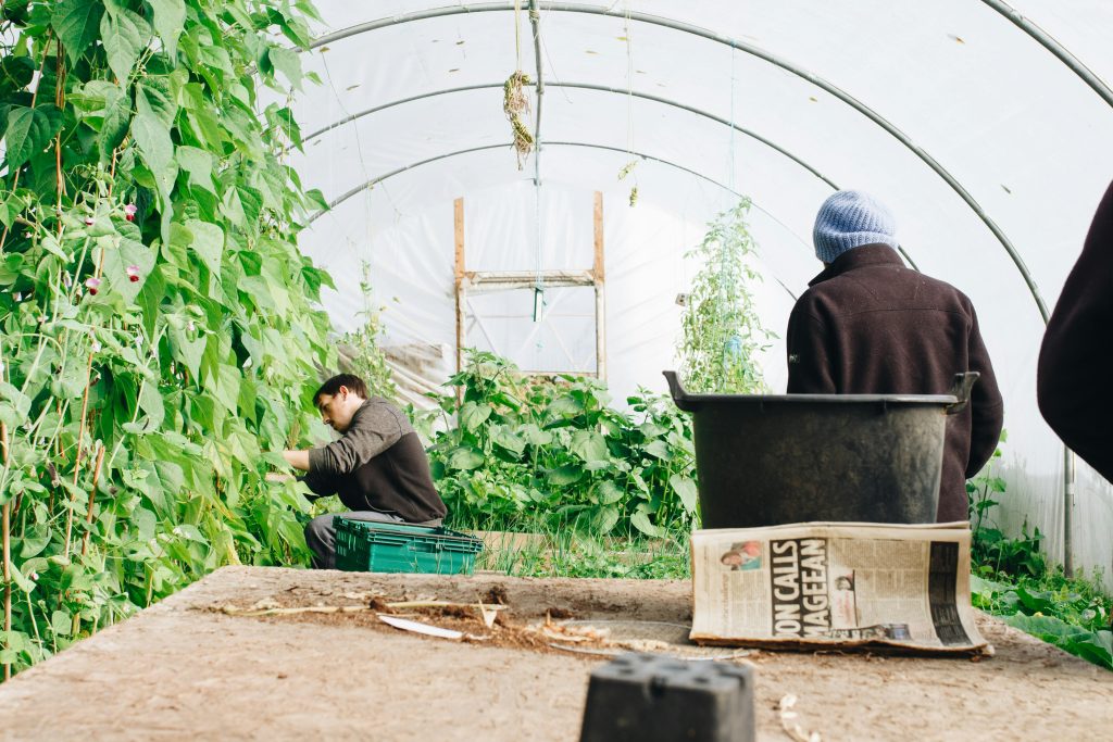 Gardening soil